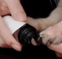 Image of Electric Dog Nail Grinder – Quiet, Safe & Rechargeable Pet Nail File