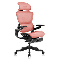 Image of ErgoFlex Ergonomic Office Chair – 16-Point Adjustable Comfort
