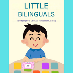 Image of VerbaLingo: Bilingual Talking Cards – Learn Spanish & English Through Play